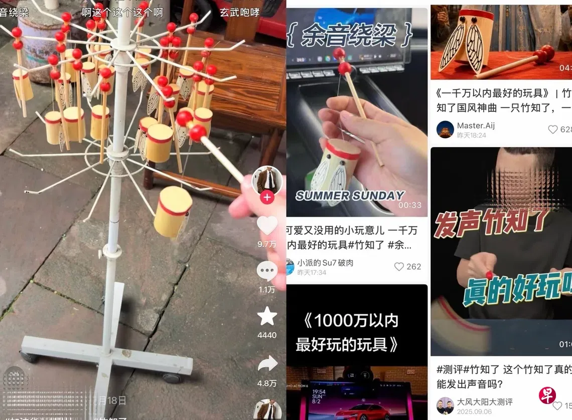 竹知了